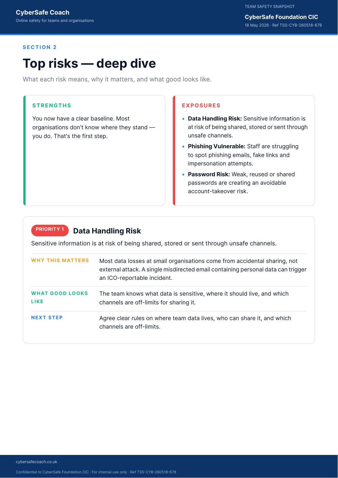 Sample Team Safety Snapshot page 3